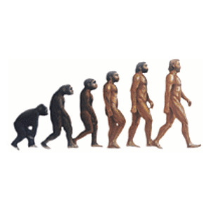 Global Population - Evolution of Man